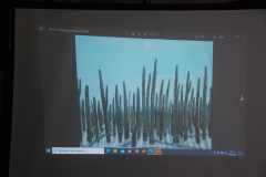 Galerie Stefan Wepil