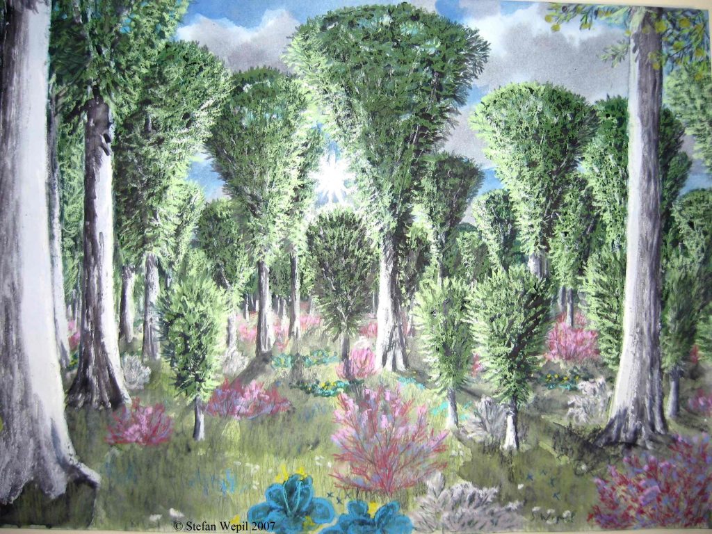 Ein Wald auf Arkon (C) Stefan Wepil